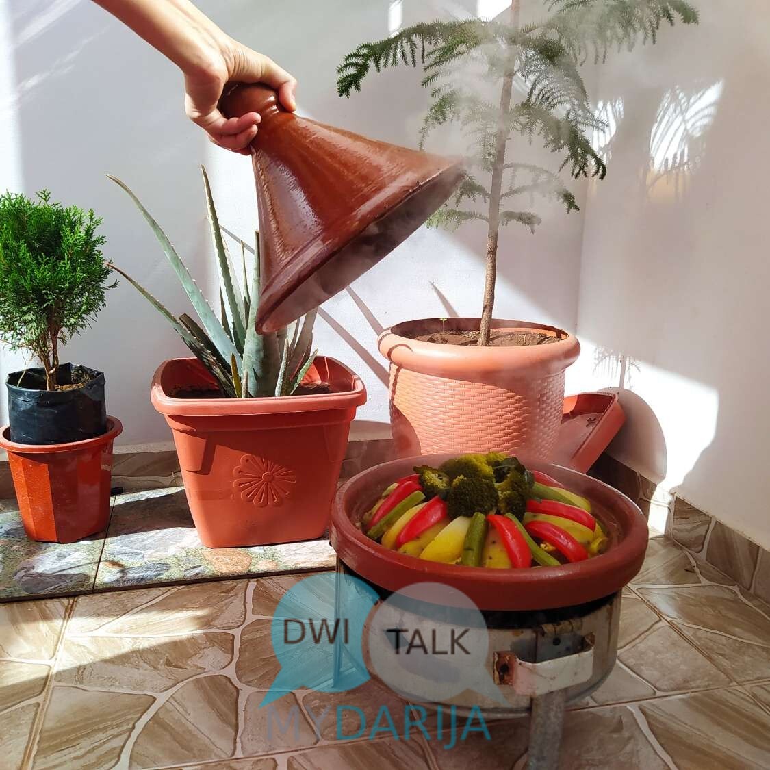 Moroccan Tagine With Beef , Chicken, Lamb Or Fish